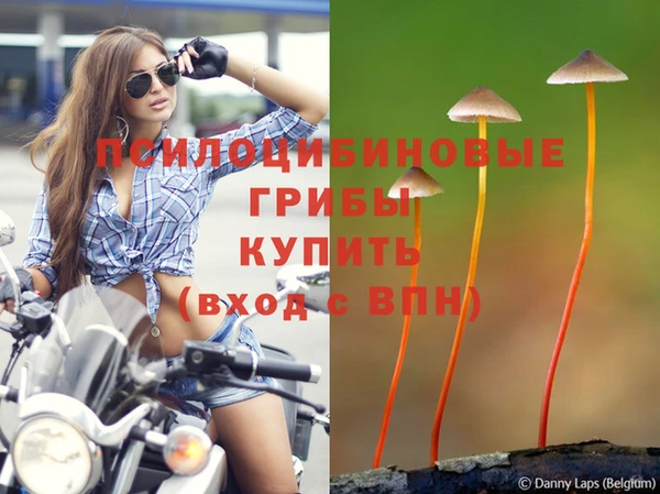 марки lsd Бугульма