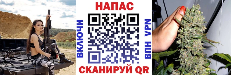 Купить  Сысерть  Марихуана сатива 